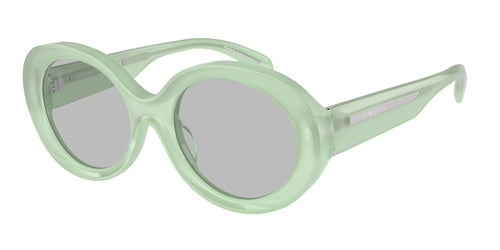 Emporio Armani 4231U Sunglasses