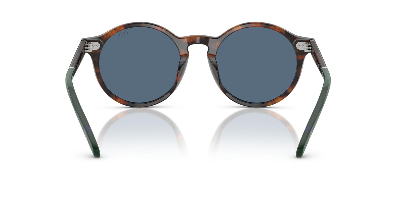562180 - Multicolor - Dark Blue