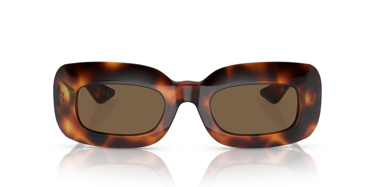 100773 - Tortoise - Brown