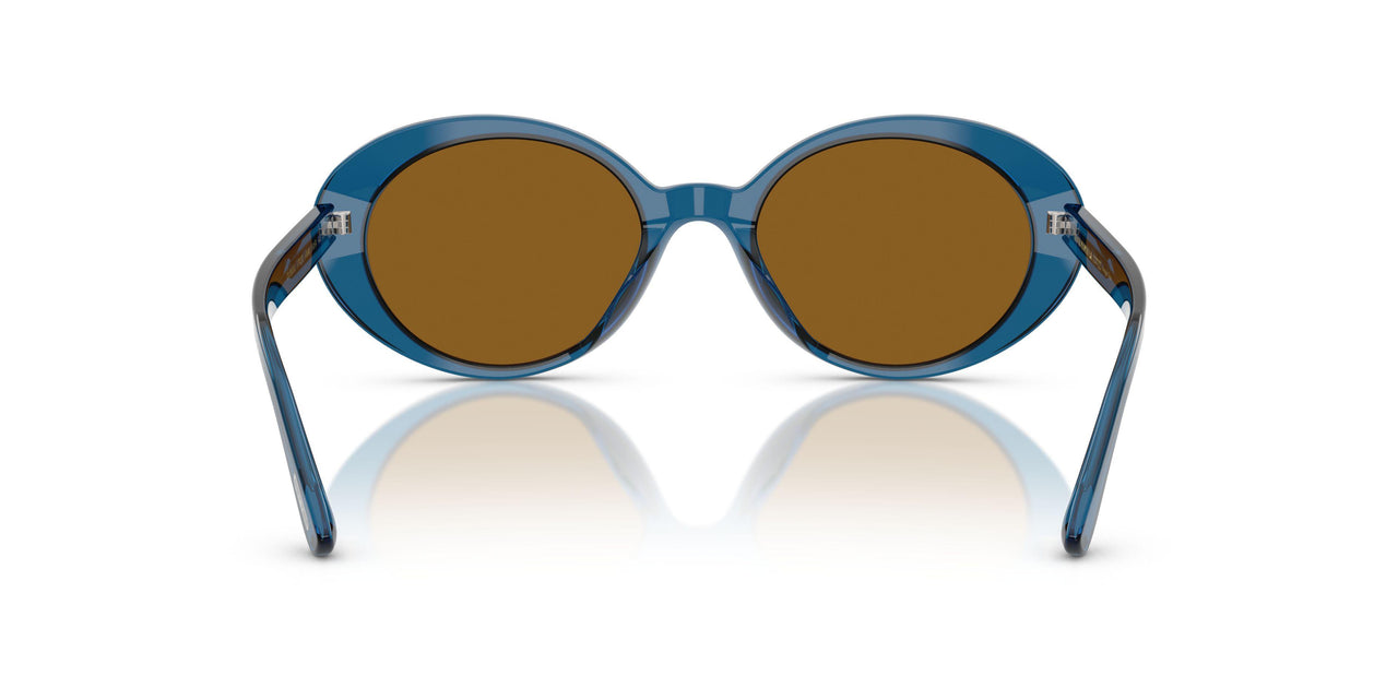 179353 - Blue - True Brown