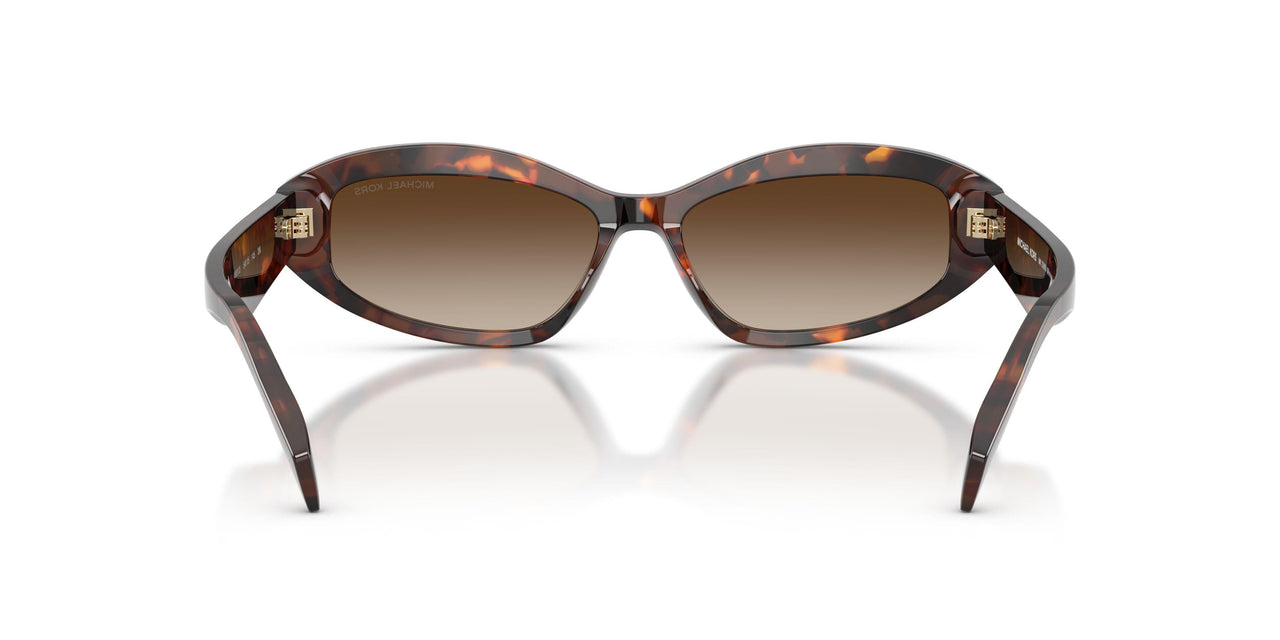 403113 - Tortoise - Smoke Gradient