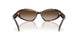 403113 - Tortoise - Smoke Gradient