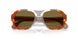 004/73 - Multicolor - Brown