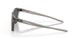 901809 - Grey - Prizm Black Polarized