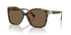 395173 - Dark Tortoise/cream Tortoise - Brown Solid