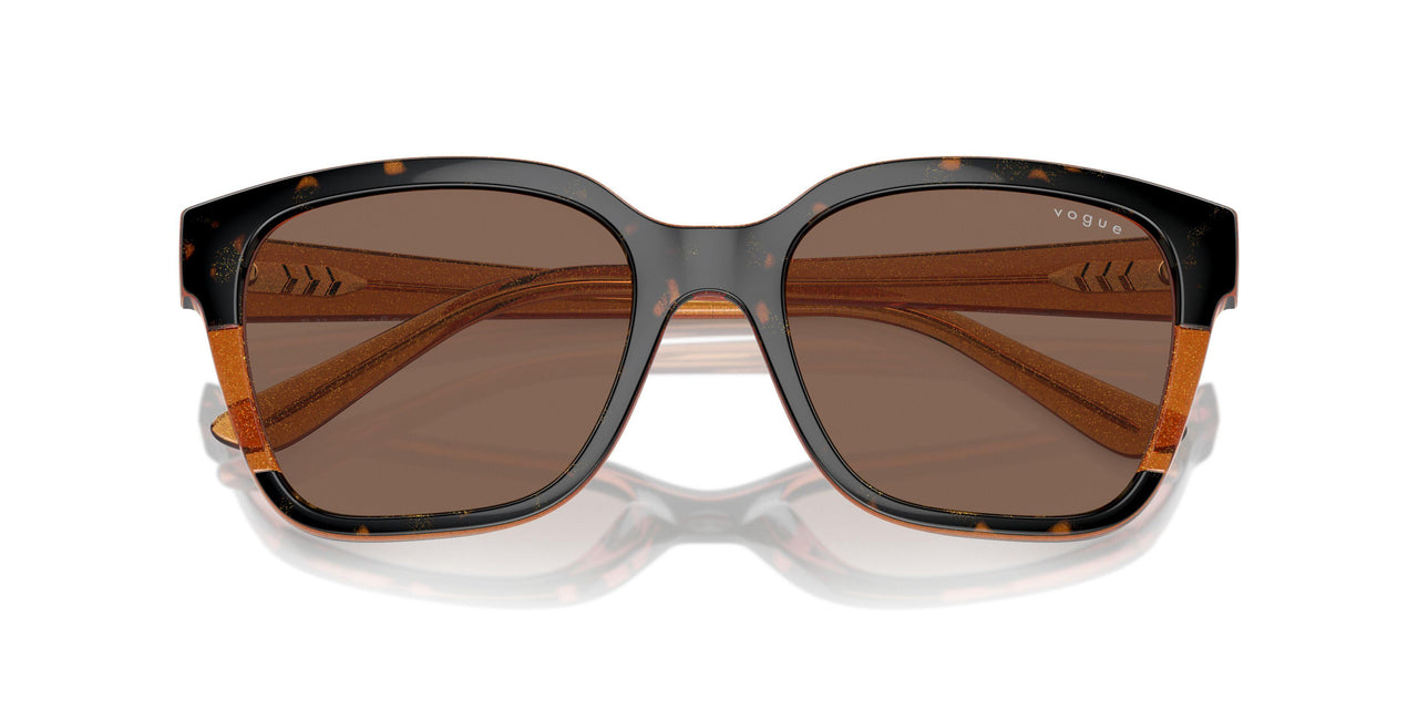 313473 - Tortoise - Dark Brown