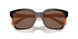 313473 - Tortoise - Dark Brown