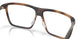 802904 - Tortoise