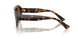 5002T5 - Tortoise - Polar Gradient Brown