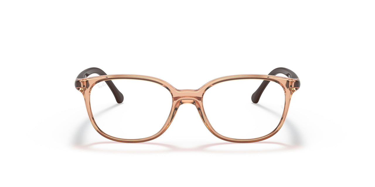 3899 - Brown
