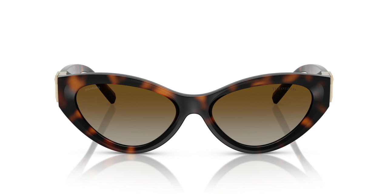 8015T5 - Tortoise - Polar Brown Gradient