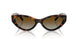 8015T5 - Tortoise - Polar Brown Gradient
