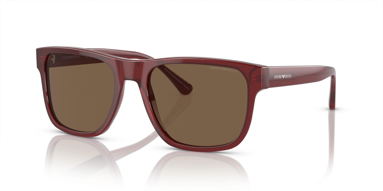 507573 - Red - Dark Brown