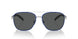 755/81 - Silver - Polarized Grey