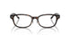 8287 - Tortoise - Clear