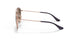 288/13 - Light Brown - Gradient Brown