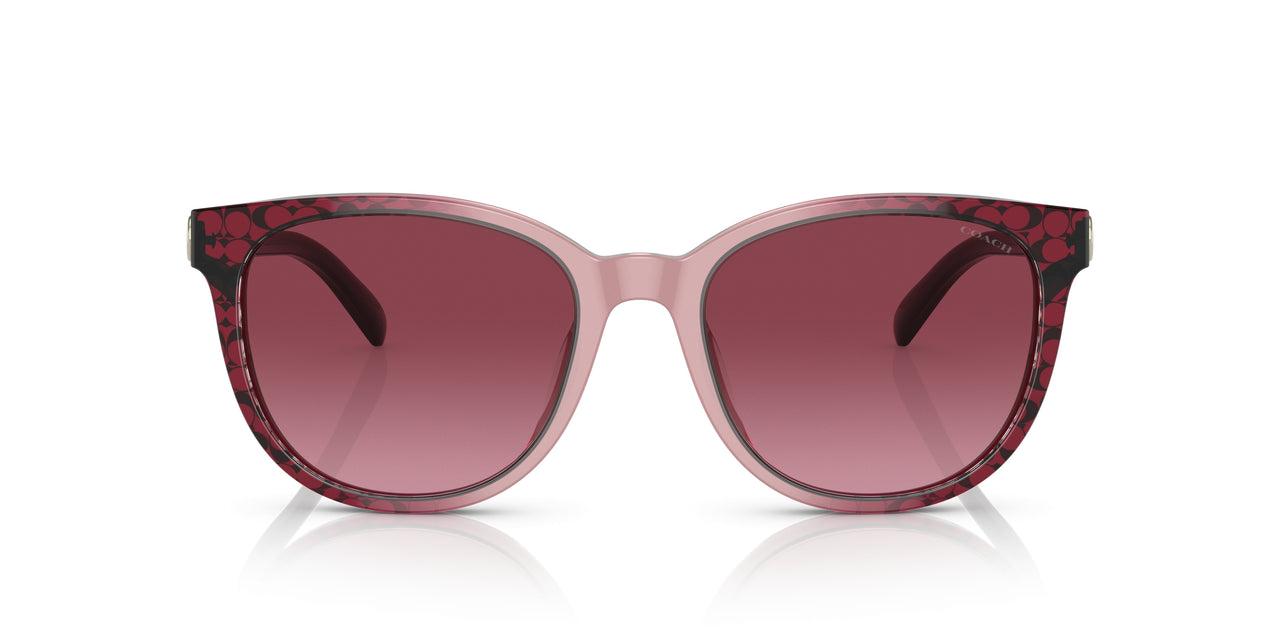 57098H - Purple/reddish - Violet Pink Gradient