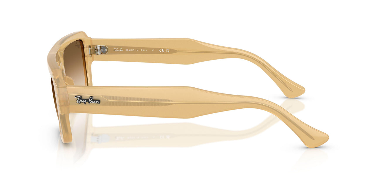 680651 - Brown - Clear Gradient Brown