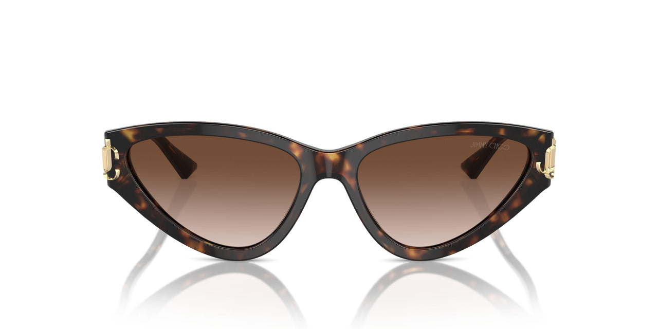 500213 - Tortoise - Gradient Brown