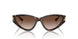 500213 - Tortoise - Gradient Brown