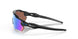 900123 - Black - Prizm Deep Water Polarized