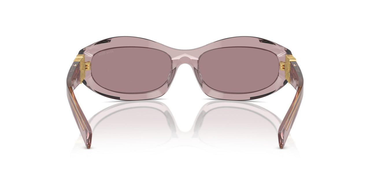 12W20I - Violet - Light Purple Brown