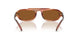 403973 - Brown - Amber