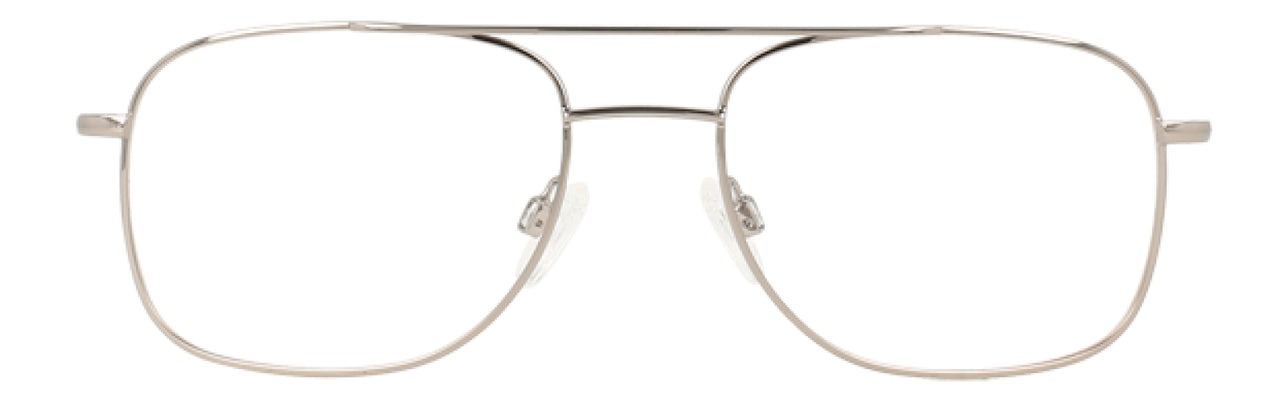 Grey - Tortoise