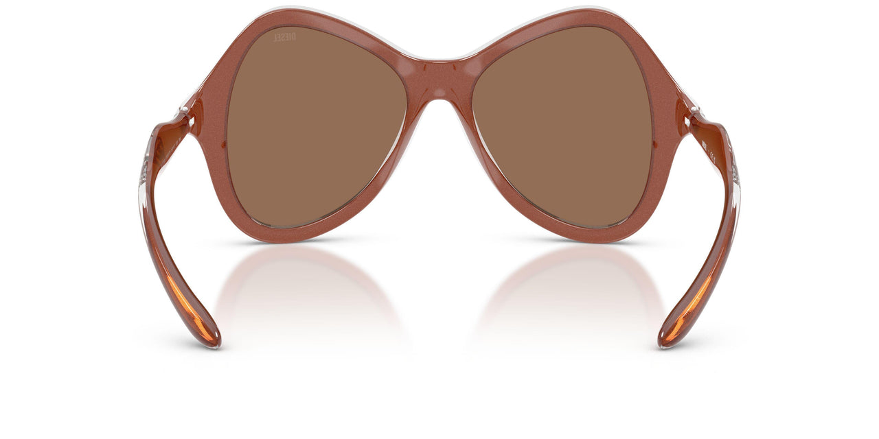 203373 - Clear - Dark Brown