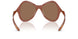 203373 - Clear - Dark Brown