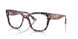 3150 - Tortoise