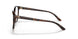 5003 - Brown