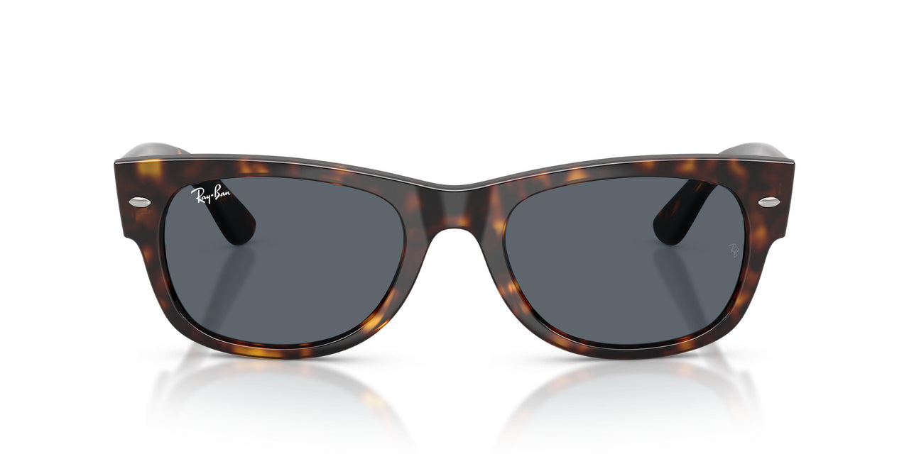 902/R5 - Tortoise - Blue
