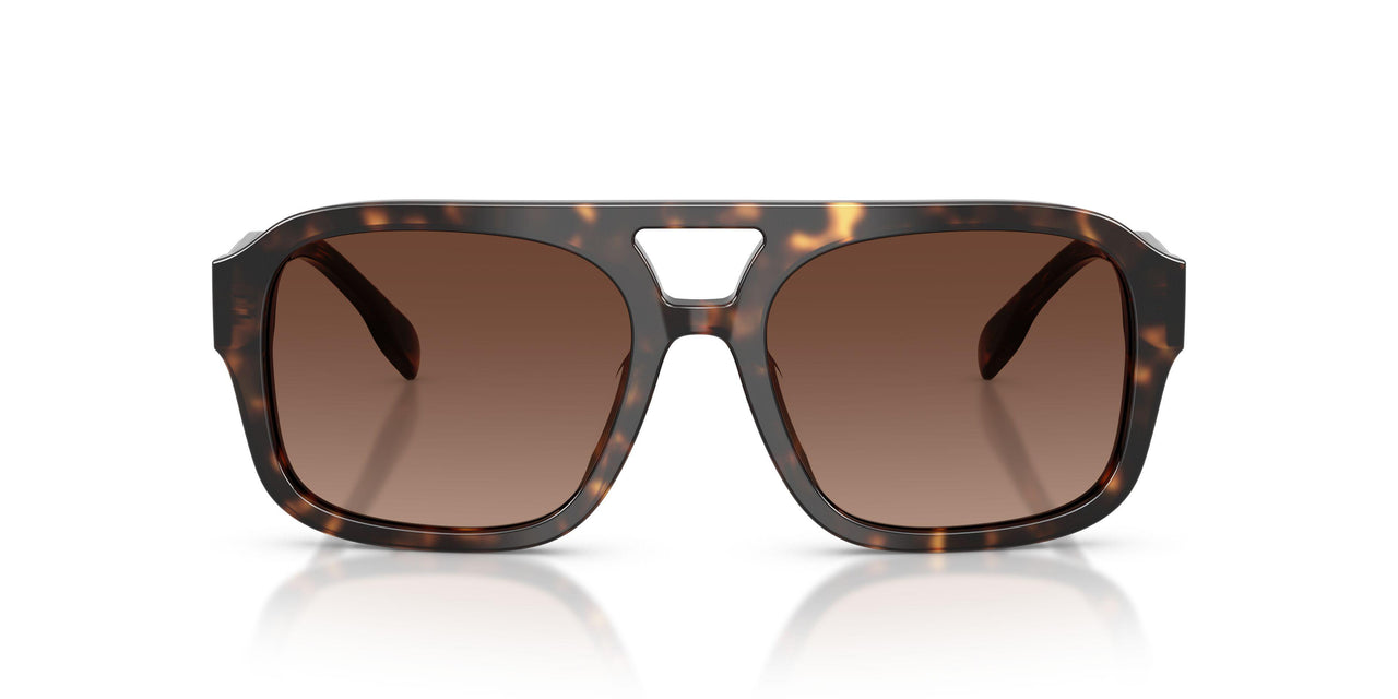 1964T5 - Tortoise - Polar Light Brown Gradient