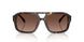 1964T5 - Tortoise - Polar Light Brown Gradient