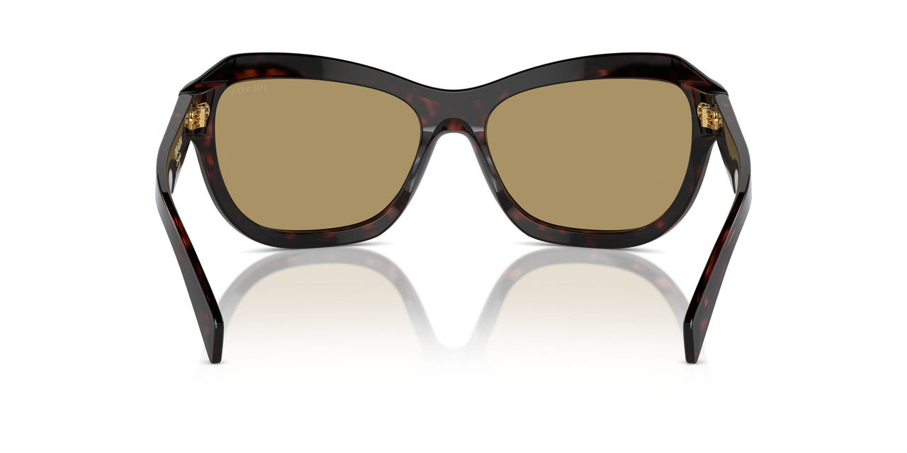 17N70G - Tortoise - Green Olive