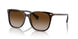 50033B - Havana - Gradient Brown
