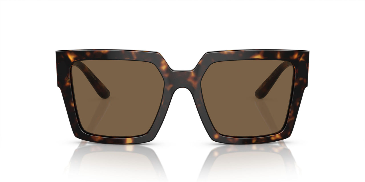 502/73 - Tortoise - Dark Brown