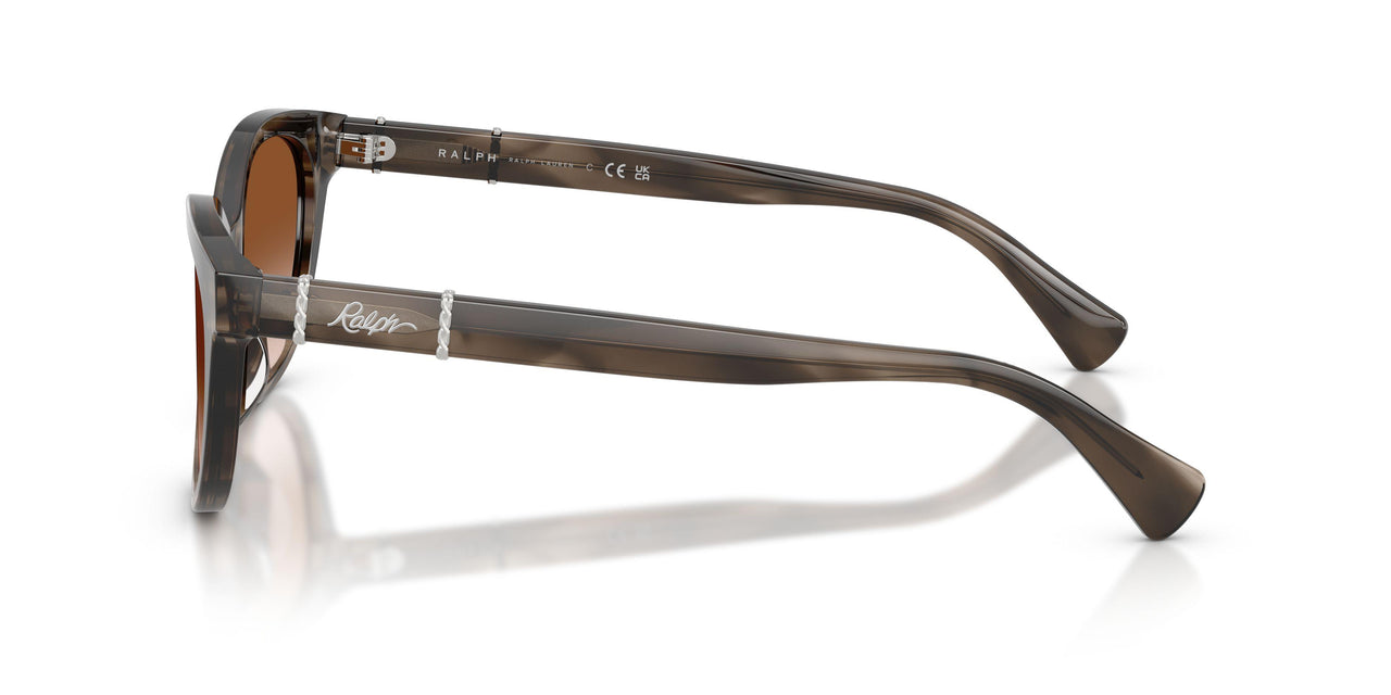 638313 - Grey - Gradient Brown