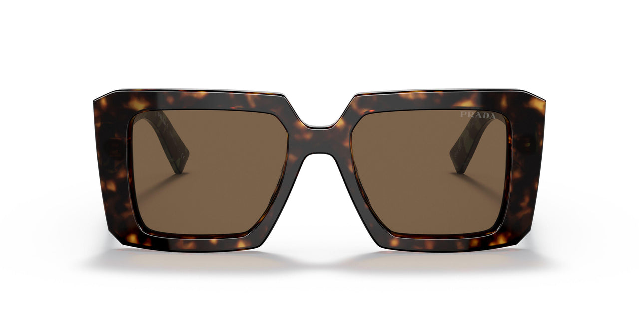 2AU06B - Havana - Dark Brown