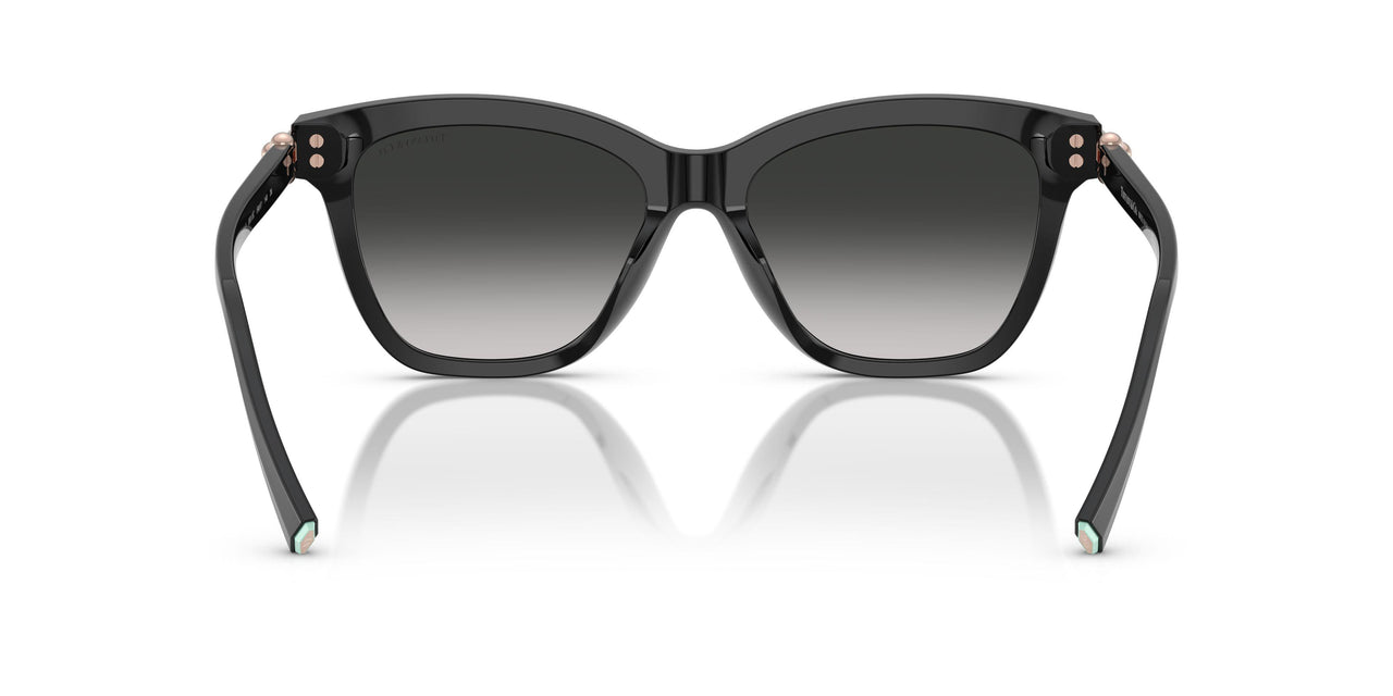 80013C - Black - Grey Gradient
