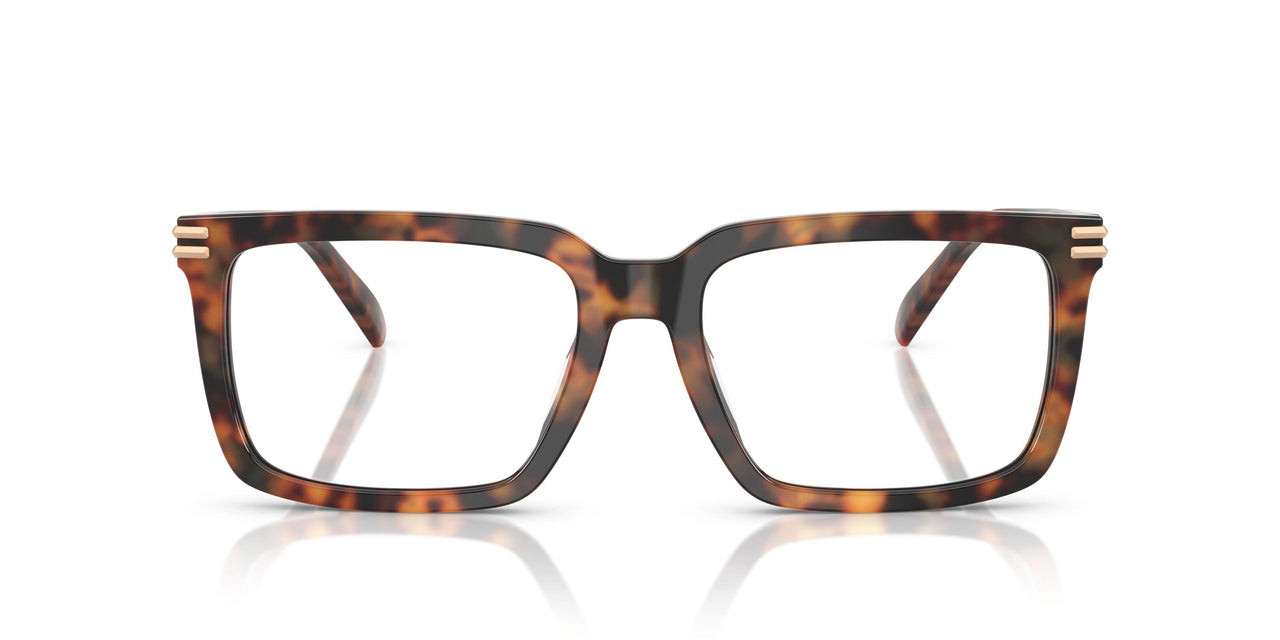 3904 - Tortoise