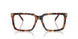 3904 - Tortoise