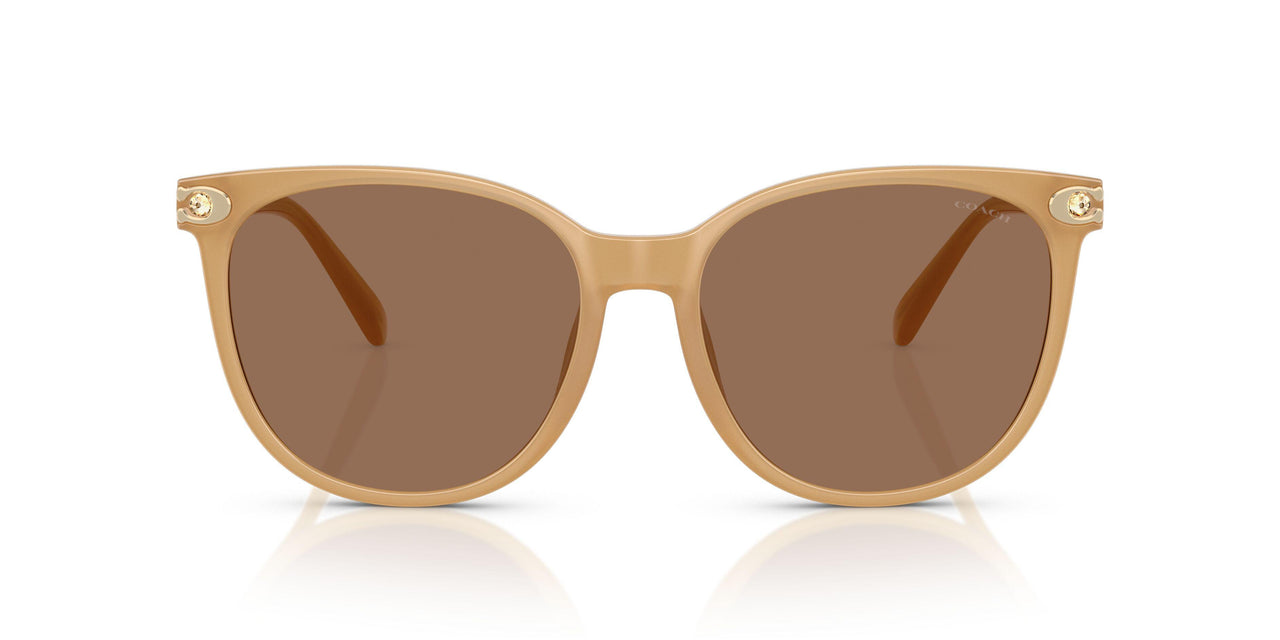 585473 - Brown - Brown Solid