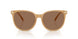 585473 - Brown - Brown Solid
