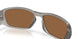 952102 - Grey - Prizm Bronze