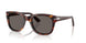 24/B1 - Tortoise - Dark Grey