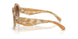 194913 - Tortoise - Brown Gradient