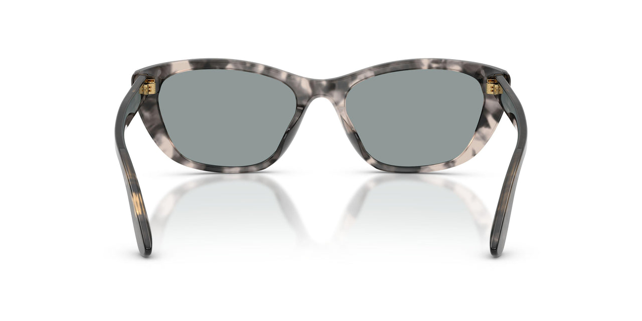 3172/1 - Tortoise - Light Grey