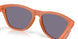 9245E7 - Brown - Prizm Grey